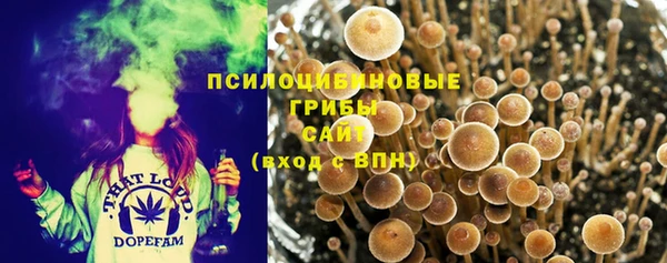 твердый Ветлуга