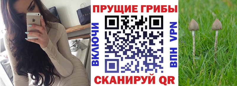 Галлюциногенные грибы Magic Shrooms  Чулым 